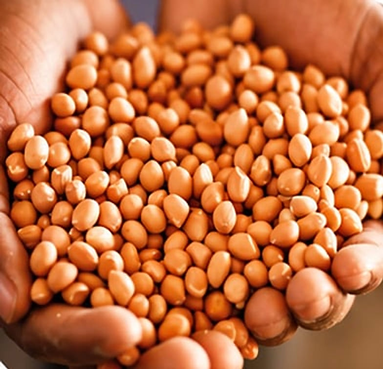 A handful of shelled peanuts