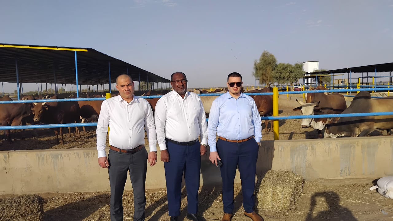 At the livestock site